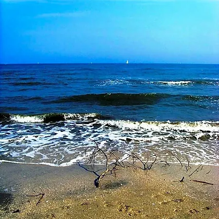 Zani Cervia