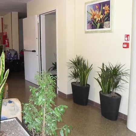 Zani Hotel Cervia