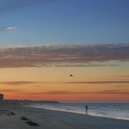 Zani Cervia