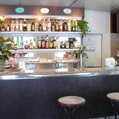 扎尼酒店 3*