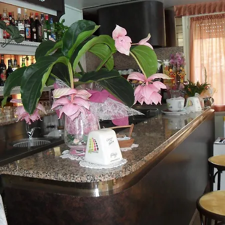 Zani Hotel Cervia