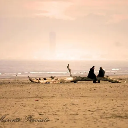 Zani Cervia