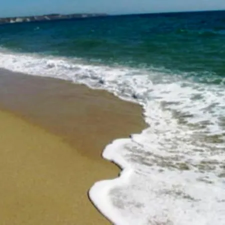 Zani Cervia