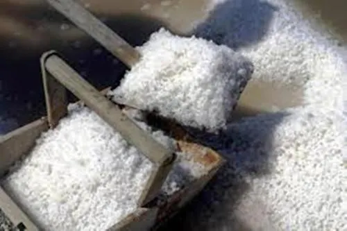 Zani 3* Τσέρβια